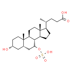 ChemSpider 2D Image | Chenodeoxycholic acid sulfate | C24H40O7S