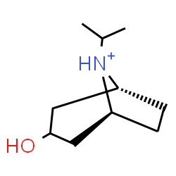 ChemSpider 2D Image | (1R,5S)-3-Hydroxy-8-isopropyl-8-azoniabicyclo[3.2.1]octane | C10H20NO
