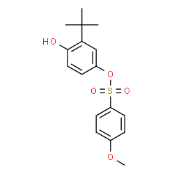 ChemSpider 2D Image | 4-Hydroxy-3-(2-methyl-2-propanyl)phenyl 4-methoxybenzenesulfonate | C17H20O5S