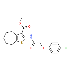 ChemSpider 2D Image | Methyl 2-{[(4-chlorophenoxy)acetyl]amino}-5,6,7,8-tetrahydro-4H-cyclohepta[b]thiophene-3-carboxylate | C19H20ClNO4S