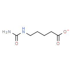 ChemSpider 2D Image | 5-(Carbamoylamino)pentanoate | C6H11N2O3