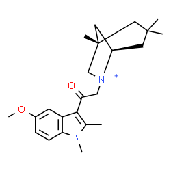 ChemSpider 2D Image | (1S,5R)-6-[2-(5-Methoxy-1,2-dimethyl-1H-indol-3-yl)-2-oxoethyl]-1,3,3-trimethyl-6-azoniabicyclo[3.2.1]octane | C23H33N2O2