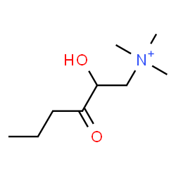 ChemSpider 2D Image | 2-Hydroxy-N,N,N-trimethyl-3-oxo-1-hexanaminium | C9H20NO2
