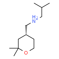 ChemSpider 2D Image | N-{[(4R)-2,2-Dimethyltetrahydro-2H-pyran-4-yl]methyl}-2-methyl-1-propanaminium | C12H26NO