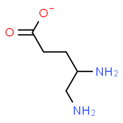 ChemSpider 2D Image | 4,5-Diaminopentanoate | C5H11N2O2