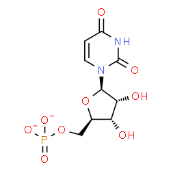 ChemSpider 2D Image | uridine 5'-phosphate | C9H11N2O9P
