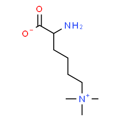 ChemSpider 2D Image | 2-Amino-6-(trimethylammonio)hexanoate | C9H20N2O2