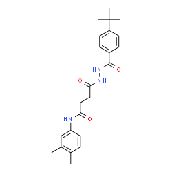 ChemSpider 2D Image | 4-[2-(4-tert-butylbenzoyl)hydrazino]-N-(3,4-dimethylphenyl)-4-oxobutanamide | C23H29N3O3