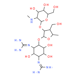 ChemSpider 2D Image | 1',2-[4-({3,5-dideoxy-2-o-[2-deoxy-2-(methylamino)hexopyranosyl]-3-(hydroxymethyl)pentofuranosyl}oxy)-2,5,6-trihydroxycyclohexane-1,3-diyl]diguanidine | C21H41N7O11