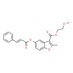 ChemSpider 2D Image | 2-Methoxyethyl 2-methyl-5-{[(2E)-3-phenyl-2-propenoyl]oxy}-1-benzofuran-3-carboxylate | C22H20O6