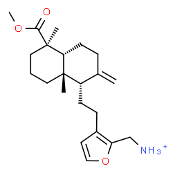 ChemSpider 2D Image | (3-{2-[(1S,4aR,5R,8aS)-5-(Methoxycarbonyl)-5,8a-dimethyl-2-methylenedecahydro-1-naphthalenyl]ethyl}-2-furyl)methanaminium | C22H34NO3