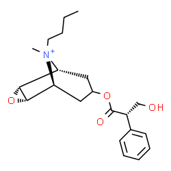 ChemSpider 2D Image | (1R,2R,4S,5S)-9-Butyl-7-{[(2S)-3-hydroxy-2-phenylpropanoyl]oxy}-9-methyl-3-oxa-9-azoniatricyclo[3.3.1.0~2,4~]nonane | C21H30NO4