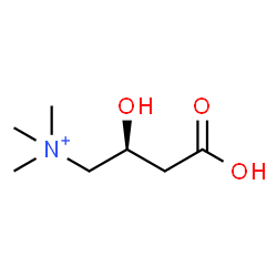 ChemSpider 2D Image | (2S)-3-Carboxy-2-hydroxy-N,N,N-trimethyl-1-propanaminium | C7H16NO3