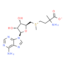 ChemSpider 2D Image | 2-Amino-4-[{[(2S,3S,4R,5R)-5-(6-amino-9H-purin-9-yl)-3,4-dihydroxytetrahydro-2-furanyl]methyl}(methyl)sulfonio]-2-methylbutanoate | C16H24N6O5S