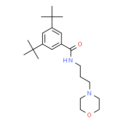 ChemSpider 2D Image | 3,5-ditert-butyl-N-[3-(4-morpholinyl)propyl]benzamide | C22H36N2O2