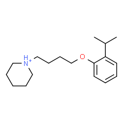 ChemSpider 2D Image | 1-[4-(2-Isopropylphenoxy)butyl]piperidinium | C18H30NO