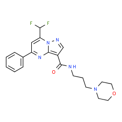 ChemSpider 2D Image | 7-(Difluoromethyl)-N-[3-(4-morpholinyl)propyl]-5-phenylpyrazolo[1,5-a]pyrimidine-3-carboxamide | C21H23F2N5O2