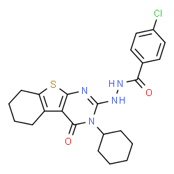 ChemSpider 2D Image | 4-Chloro-N'-(3-cyclohexyl-4-oxo-3,4,5,6,7,8-hexahydro[1]benzothieno[2,3-d]pyrimidin-2-yl)benzohydrazide | C23H25ClN4O2S