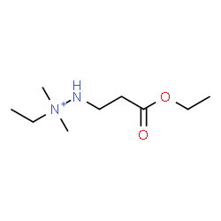ChemSpider 2D Image | 2-(3-Ethoxy-3-oxopropyl)-1-ethyl-1,1-dimethylhydrazinium | C9H21N2O2