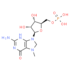 ChemSpider 2D Image | 7-Methyl-7,8-dihydroguanosine 5'-(dihydrogen phosphate) | C11H18N5O8P