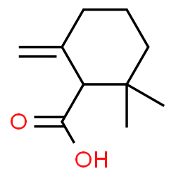 ChemSpider 2D Image | 2,2-Dimethyl-6-methylenecyclohexanecarboxylic acid | C10H16O2