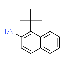 ChemSpider 2D Image | 1-tert-Butyl-2-aminonaphthalene | C14H17N