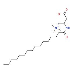ChemSpider 2D Image | 3-(Palmitoylamino)-4-(trimethylammonio)butanoate | C23H46N2O3