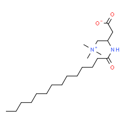 ChemSpider 2D Image | 3-(Tetradecanoylamino)-4-(trimethylammonio)butanoate | C21H42N2O3
