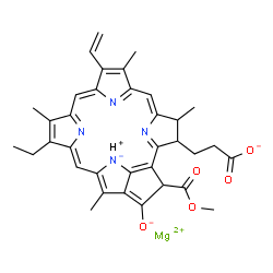ChemSpider 2D Image | Magnesium hydrogen 3-[14-ethyl-21-(methoxycarbonyl)-4,8,13,18-tetramethyl-20-oxido-9-vinyl-23,25-didehydro-4,21-dihydro-3H-phorbin-23-id-3-yl]propanoate (1:1:1) | C35H34MgN4O5