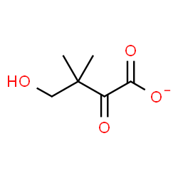 ChemSpider 2D Image | 4-Hydroxy-3,3-dimethyl-2-oxobutanoate | C6H9O4
