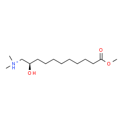 ChemSpider 2D Image | (2R)-2-Hydroxy-11-methoxy-N,N-dimethyl-11-oxo-1-undecanaminium | C14H30NO3