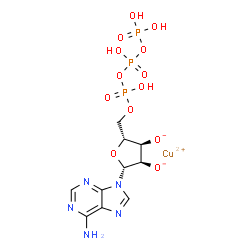 ChemSpider 2D Image | Copper(2+) (2R,3R,4R,5R)-2-(6-amino-9H-purin-9-yl)-5-{[(hydroxy{[hydroxy(phosphonooxy)phosphoryl]oxy}phosphoryl)oxy]methyl}tetrahydro-3,4-furandiolate | C10H14CuN5O13P3