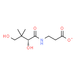 ChemSpider 2D Image | Pantothenate | C9H16NO5