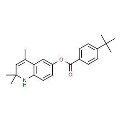 ChemSpider 2D Image | 2,2,4-trimethyl-1H-quinolin-6-yl 4-tert-butylbenzoate | C23H27NO2