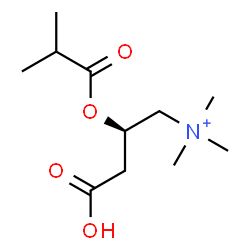 ChemSpider 2D Image | (2R)-3-Carboxy-2-(isobutyryloxy)-N,N,N-trimethyl-1-propanaminium | C11H22NO4