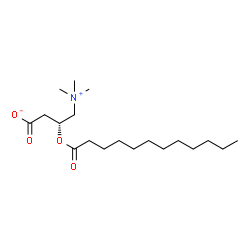 ChemSpider 2D Image | C12-Carnitine | C19H37NO4