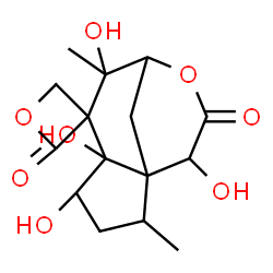 ChemSpider 2D Image | 4,5,7,11-Tetrahydroxy-2,7-dimethyl-10H-spiro[9-oxatricyclo[6.3.1.0~1,5~]dodecane-6,3'-oxetane]-2',10-dione | C15H20O8