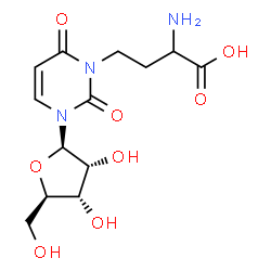 ChemSpider 2D Image | 3-(3-Amino-3-carboxypropyl)uridine | C13H19N3O8
