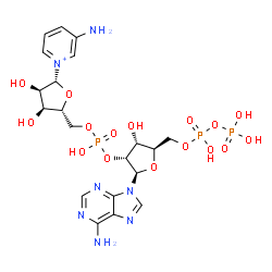 ChemSpider 2D Image | [(2R,3R,4R,5R)-2-(6-aminopurin-9-yl)-4-hydroxy-5-[(hydroxy-phosphonooxy-phosphoryl)oxymethyl]tetrahydrofuran-3-yl] [(2R,3S,4R,5R)-5-(3-aminopyridin-1-ium-1-yl)-3,4-dihydroxy-tetrahydrofuran-2-yl]methyl hydrogen phosphate | C20H29N7O16P3