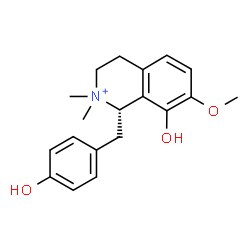 ChemSpider 2D Image | (1S)-8-Hydroxy-1-(4-hydroxybenzyl)-7-methoxy-2,2-dimethyl-1,2,3,4-tetrahydroisoquinolinium | C19H24NO3