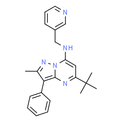 ChemSpider 2D Image | 5-tert-butyl-2-methyl-3-phenyl-N-(pyridin-3-ylmethyl)pyrazolo[1,5-a]pyrimidin-7-amine | C23H25N5