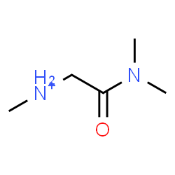 ChemSpider 2D Image | 2-(Dimethylamino)-N-methyl-2-oxoethanaminium | C5H13N2O