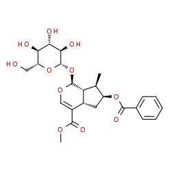 ChemSpider 2D Image | Methyl (1S,4aS,6S,7R,7aS)-6-(benzoyloxy)-1-(beta-D-glucopyranosyloxy)-7-methyl-1,4a,5,6,7,7a-hexahydrocyclopenta[c]pyran-4-carboxylate | C24H30O11