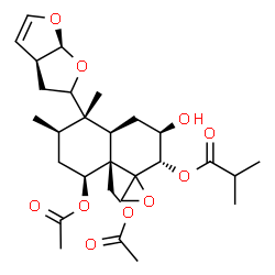 ChemSpider 2D Image | (2S,3R,4aR,5S,6R,8S,8aR)-8-Acetoxy-8a-(acetoxymethyl)-3-hydroxy-5,6-dimethyl-5-[(3aS,6aS)-2,3,3a,6a-tetrahydrofuro[2,3-b]furan-2-yl]octahydro-2H-spiro[naphthalene-1,2'-oxiran]-2-yl 2-methylpropanoate | C28H40O10