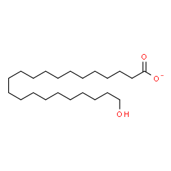 ChemSpider 2D Image | 22-Hydroxydocosanoate | C22H43O3