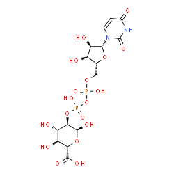 ChemSpider 2D Image | (2S,3S,4S,5R,6S)-5-{[{[{[(2R,3S,4R,5R)-5-(2,4-Dioxo-3,4-dihydro-1(2H)-pyrimidinyl)-3,4-dihydroxytetrahydro-2-furanyl]methoxy}(hydroxy)phosphoryl]oxy}(hydroxy)phosphoryl]oxy}-3,4,6-trihydroxytetrahydro
-2H-pyran-2-carboxylic acid | C15H22N2O18P2