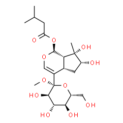 ChemSpider 2D Image | Methyl 1-C-{(1S,4aS,6R,7S,7aS)-6,7-dihydroxy-7-methyl-1-[(3-methylbutanoyl)oxy]-1,4a,5,6,7,7a-hexahydrocyclopenta[c]pyran-4-yl}-beta-D-glucopyranoside | C21H34O11