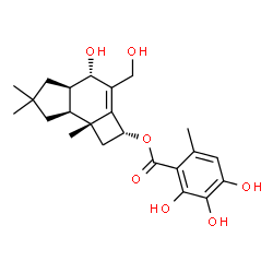 ChemSpider 2D Image | (2R,4S,4aR,7aS,7bR)-4-Hydroxy-3-(hydroxymethyl)-6,6,7b-trimethyl-2,4,4a,5,6,7,7a,7b-octahydro-1H-cyclobuta[e]inden-2-yl 2,3,4-trihydroxy-6-methylbenzoate | C23H30O7