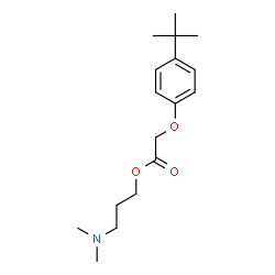 ChemSpider 2D Image | 3-(Dimethylamino)propyl [4-(2-methyl-2-propanyl)phenoxy]acetate | C17H27NO3