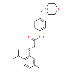 ChemSpider 2D Image | 4-(4-{[(2-Isopropyl-5-methylphenoxy)acetyl]amino}benzyl)morpholin-4-ium | C23H31N2O3